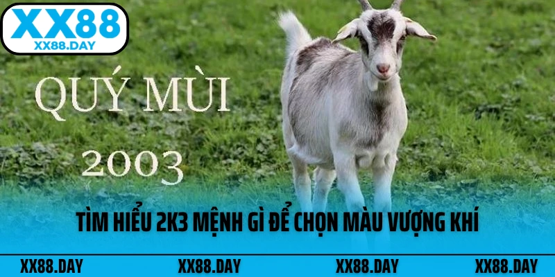 tim-hieu-2k3-menh-gi-de-chon-mau-vuong-khi