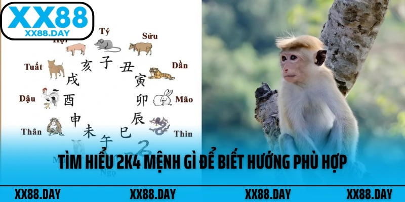 tim-hieu-2k4-menh-gi-de-biet-huong-phu-hop