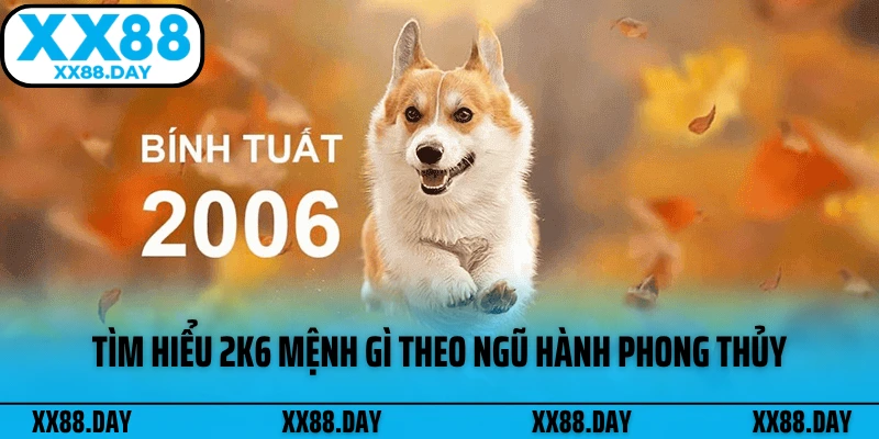tim-hieu-2k6-menh-gi-theo-ngu-hanh-phong-thuy