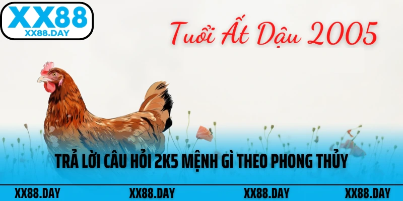 tra-loi-cau-hoi-2k5-menh-gi-theo-phong-thuy